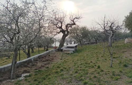 Dimora Montelago - Apartment Roby - Foto 34