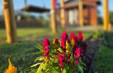 Chalé Romantico com SPA e Piscina PRIVATIVO - Foto 22