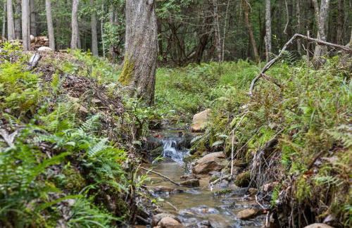 15 min to Town, Creekside, Sauna, Hot Tub, Fire Pit - Foto 22