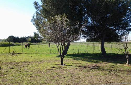 Les prairies Mas Roux - Foto 15