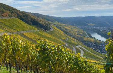 Apartment an der Mosel 2 - Foto 9