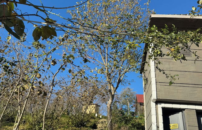 Santavera Bungalov - Foto 25