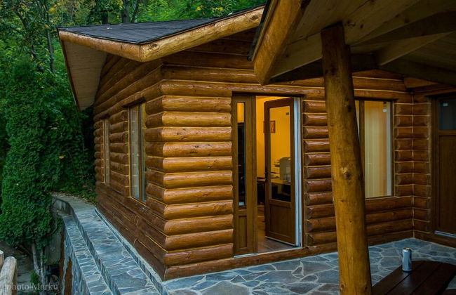 Vila Flora Viseu de Jos - Foto 27