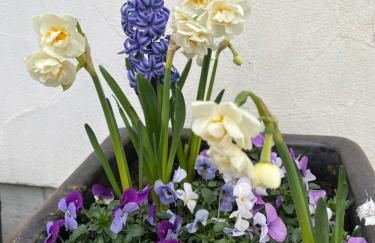 Fewo Nähe Vareler Hafen auch mit Hund - Foto 24