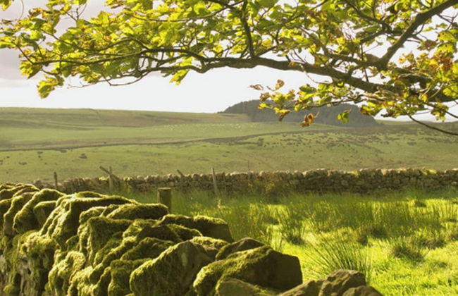 Tranquil 3 Bed - All En Suite - Cottage in Hexham - Foto 7