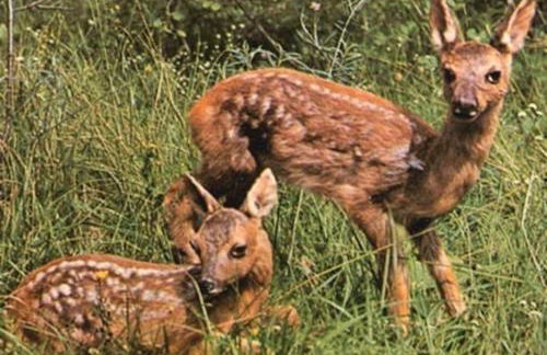 Il Grappolo In Langa - Foto 8