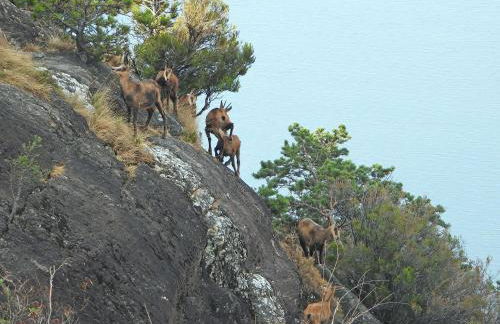 Villa Golden Lake 1 - just few steps from the lake - Foto 55