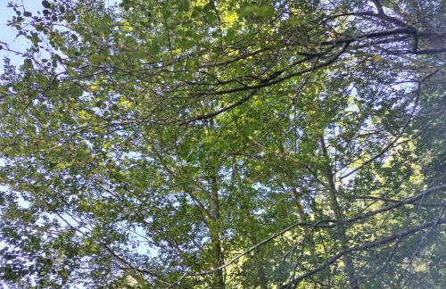 Casa Lobo Panticosa - Photo 19