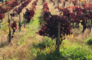 Casinha Revira Volta - Foto 38