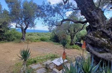 el paradiso - Foto 10