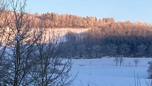 Glückshuuske Sauerland - Foto 4