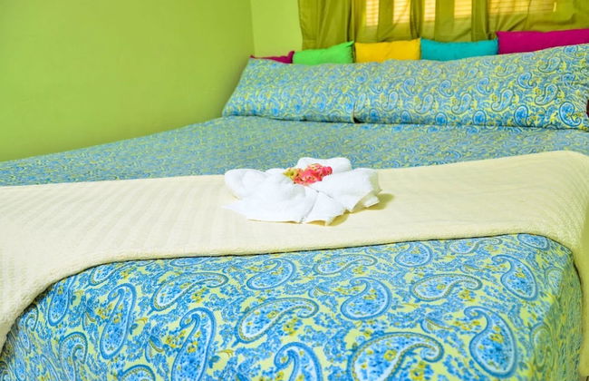 Kingston Sunset Guest Apartment II - Photo 1