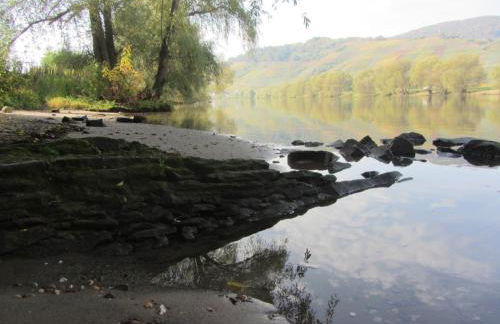 Mosel-Auszeit - Foto 24