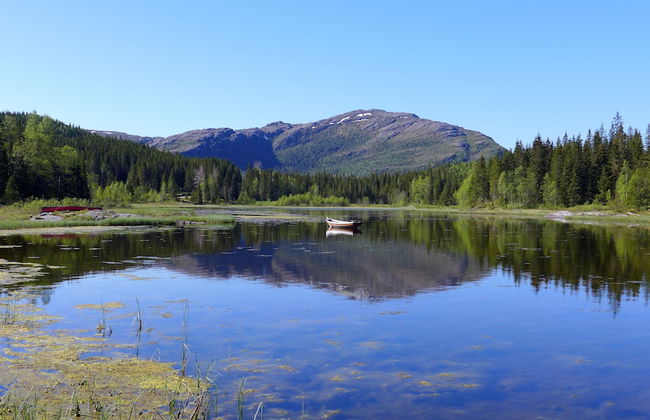 Velfjord camping & hytter - Foto 1