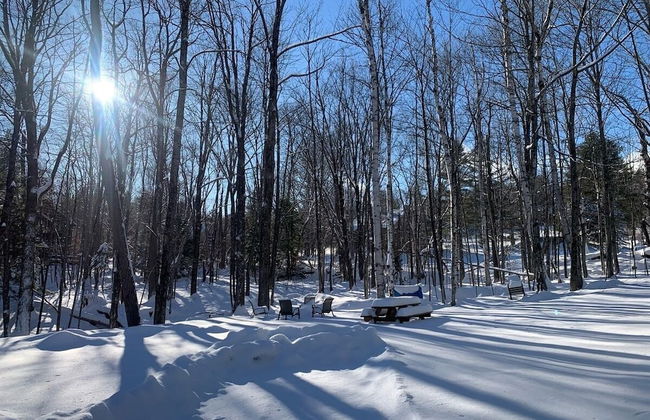 Treehouse Home Brought to you by GetAway Vacations - Photo 41