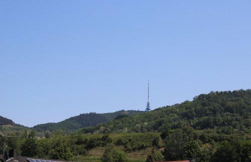 Winzerhof Senn - Foto 14