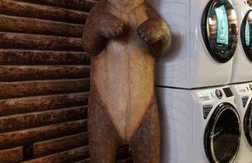 Great Outdoors by OC Adventure Homes - Foto 46