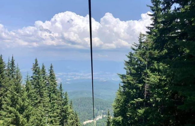 Monfort B - Photo 34