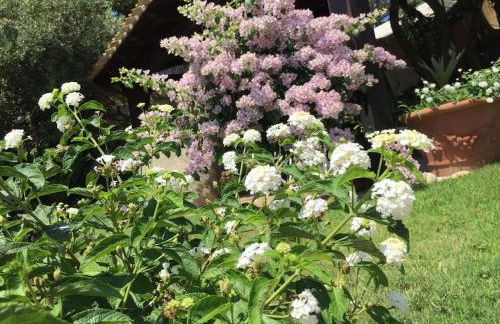Villa Bianca, piscina e panorama - Foto 34