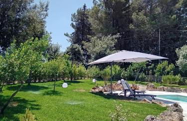 Fogliantica Azienda Agrituristica - Foto 30