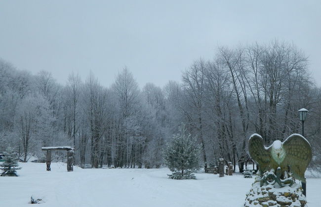 Turbaza Serebryany Klyuch - Photo 26