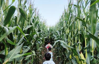 Can Pujol - Casitas de Turismo Rural en el Baix Empordà - Foto 28