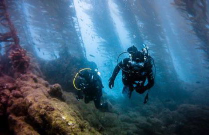 Eichler Mid Century Modern Designer Pool/Jacuzzi - Foto 78