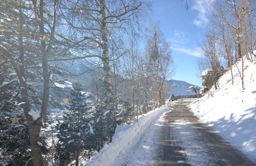 SCHETERERHOF - Foto 6