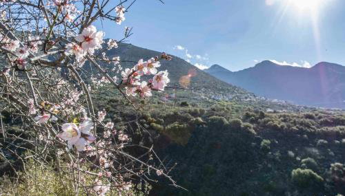 Panorama of Deep Blue - Foto 3