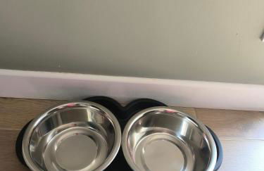 L'Eucalyptus - Foto 34