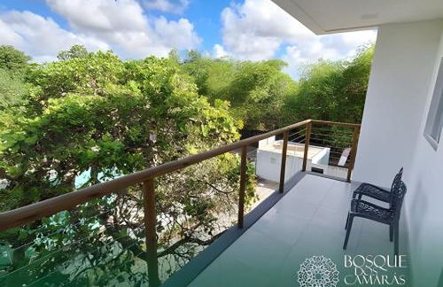 Bosque Aldeia dos Camarás - Foto 16