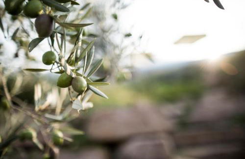 Kräutererbe Bacherhof - Photo 7