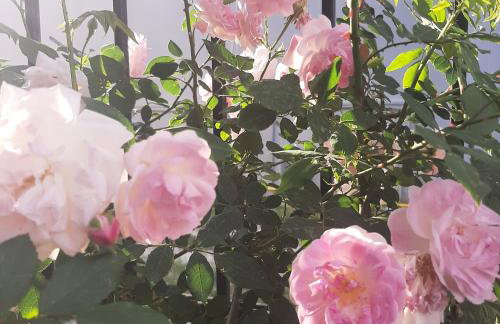 Αρχοντικό Παπανικολάου - Foto 61