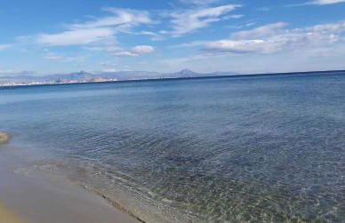 Dunesunbreak Arenales - Foto 24