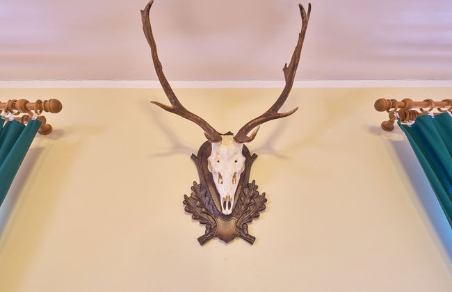 Mazurova chalupa - Foto 30