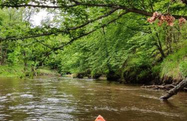 YACHT CLUB WEJSUNY - Foto 37