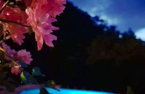 Vila Countryhouse Pijevci - Foto 76