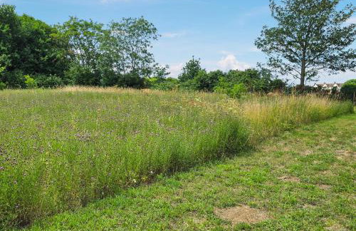 Belt Annexe - Foto 7