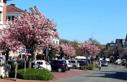 Haus Sonneneck 1 - Foto 16