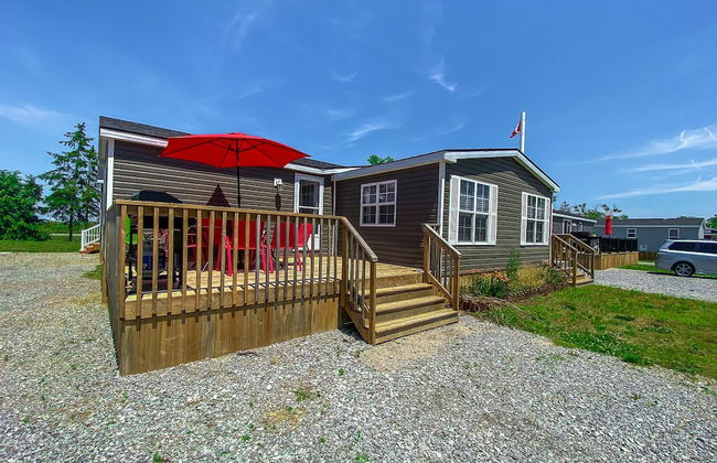 Falcon Cottages - Photo 47