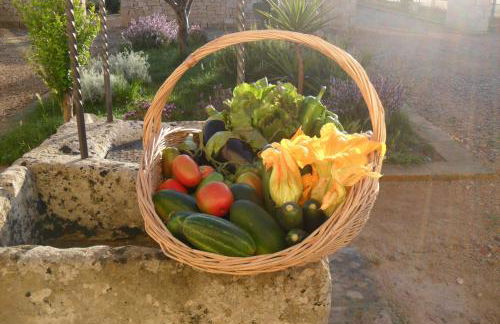 Masseria Sucéa - Foto 77