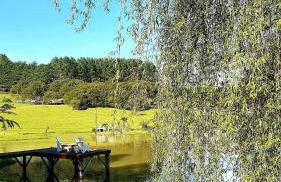 Rancho das Neves - Rancho Queimado - SC - Foto 61