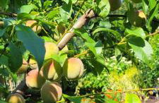 Dom Na Skarpie - Ucieczka Na Wieś - Samodzielne wejście na szyfr, 100m2 - Foto 14