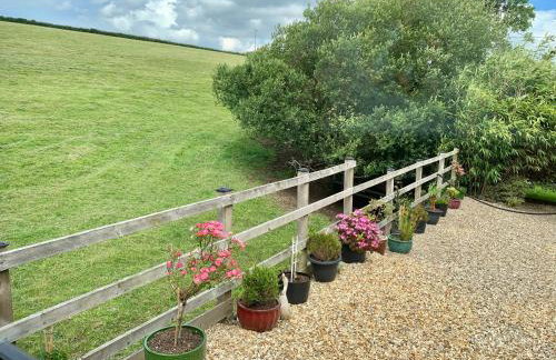 Little Bo Peep - Foto 9