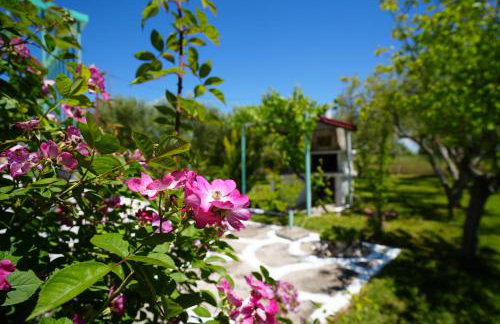 Dream in Chalkidiki 2 bedroom villa with garden - Foto 78
