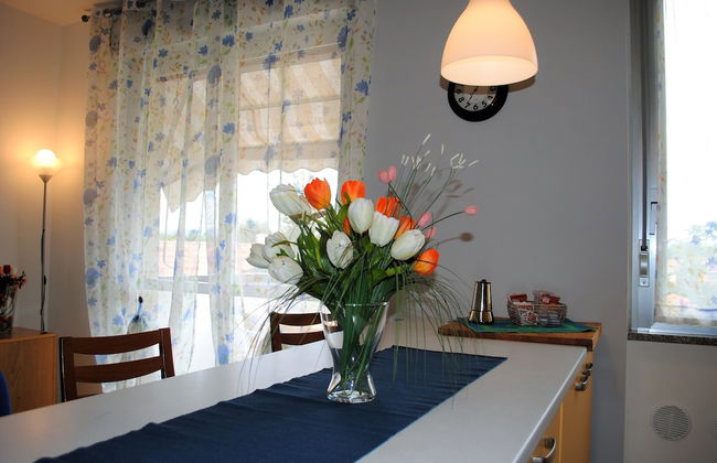 Bnbook - Bilo Malpensa 2 - Photo 6