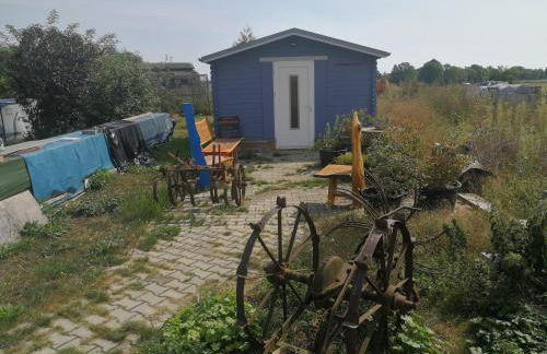 Jennys Hofladen - Foto 12