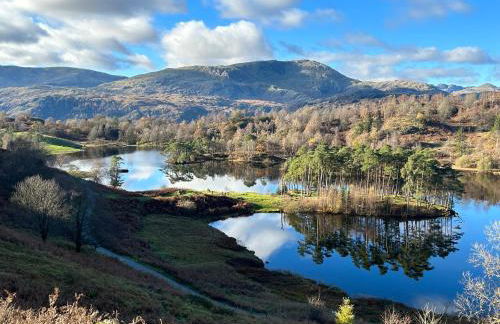 Yewfield Self Catering Apartments - Foto 15