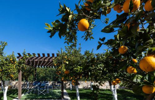 Desa Green Homes - Photo 31