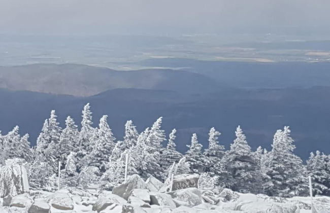 Comfort Near Castle Views - Foto 30